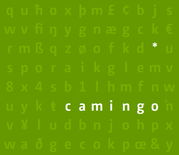 Camingo Teaser